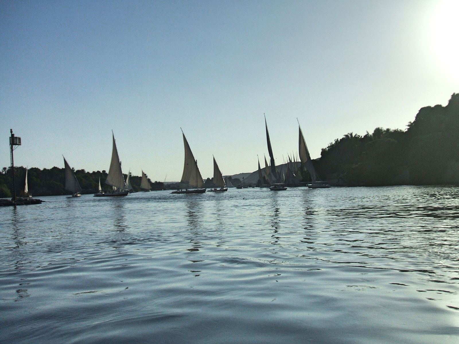 White-sailed felucca boats gliding on the Nile at Aswan, Egypt, beside Elephantine Island under a hazy sky