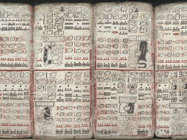 Several open pages of the Dresden Codex, a Maya bark-paper book, covered with rows of painted glyphs and bar-and-dot numbers in black and red