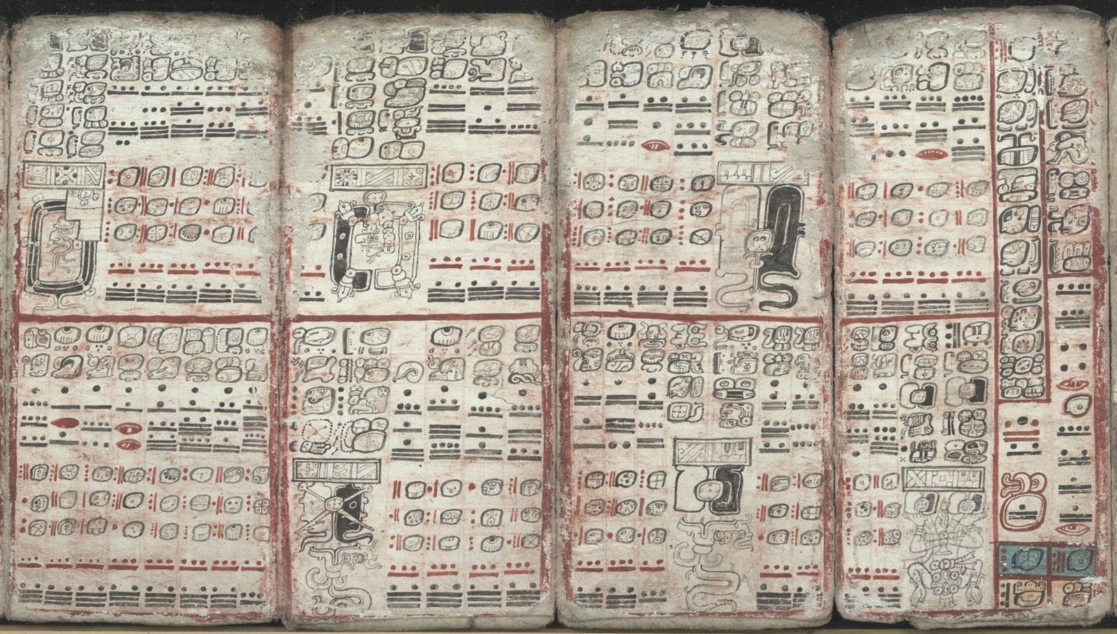 Several open pages of the Dresden Codex, a Maya bark-paper book, covered with rows of painted glyphs and bar-and-dot numbers in black and red